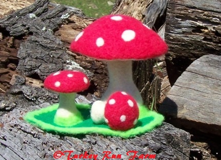 Photo of felted mushrooms